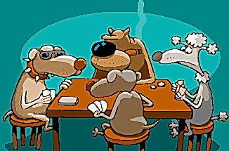 Köpeklerde Eğitimin Sınırları ve Türleri