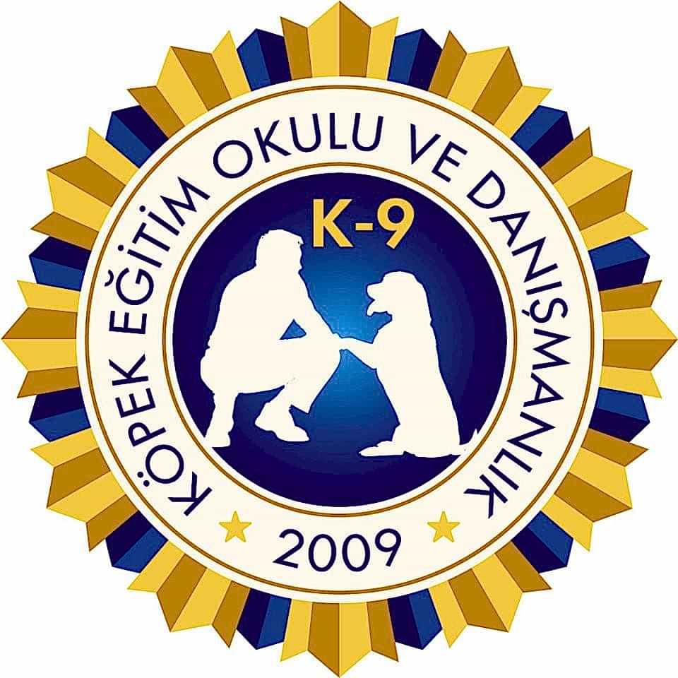 Köpek Eğitmeni